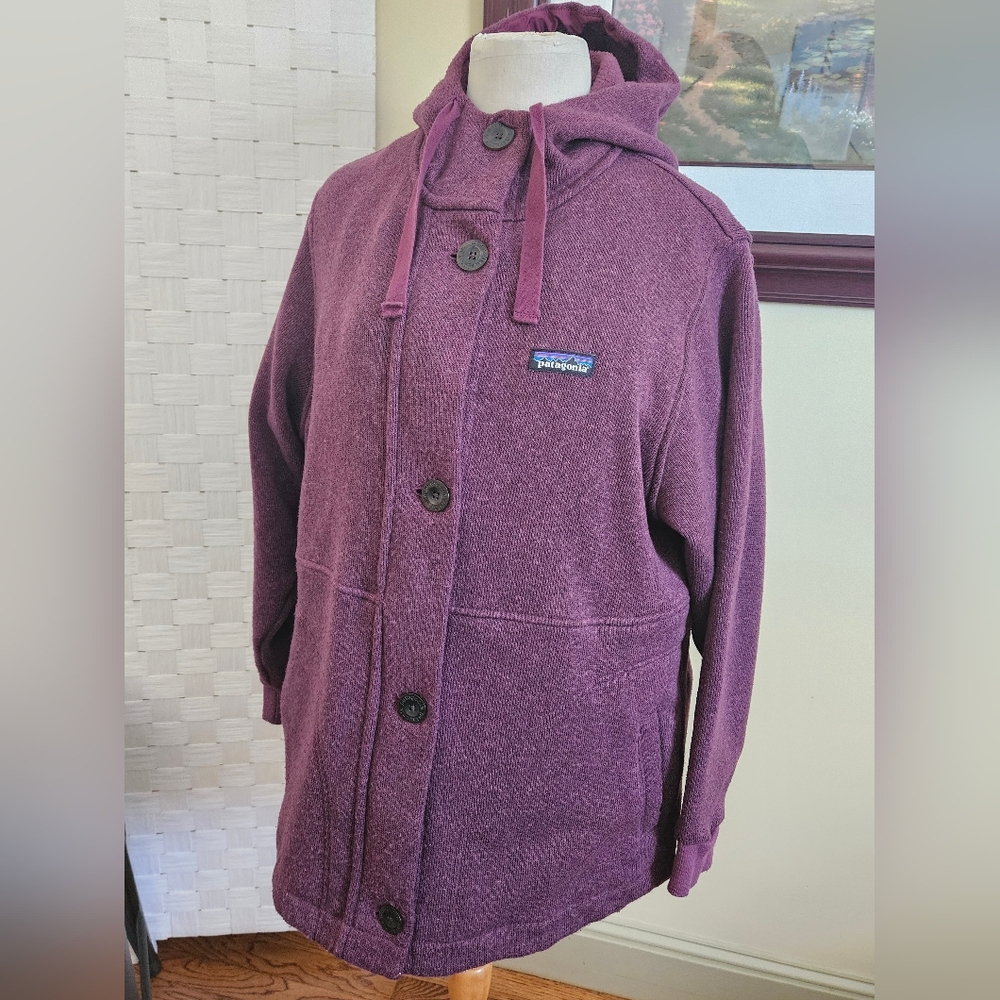 Patagonia Purple Hooded Utility Jacket